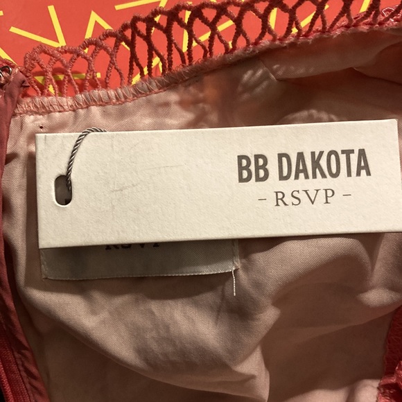 NWT BB Dakota RSVP peach lace mini, sz 0 - Picture 4 of 5